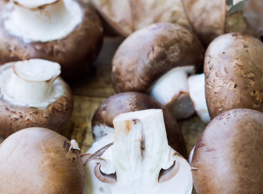 Royal Agaricus